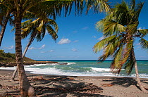 Yomuri Beach, 20 km east of Baracoa, view to the west. Cuba. December 2010
