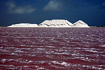 Salt pan lake and salt deposits. Bonaire. April 2005