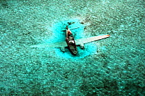 DC-3 Aircraft wreck. Drug running aircraft that crashed in shallow water. Normans Cay, Exhumas, Bahamas. May 2005