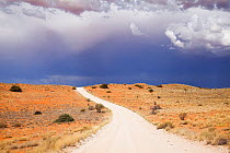 Road throught Kgalagadi Transfrontier Park, Clouds, Northern Cape Province, South Africa, February 2013