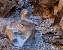 Bizzare sculptures of basalt formed through thousands of years of erosion, Snake River Valley, southern Idaho. This particular piece was likely formed sometime in the Pliocene period about 2-3 million...