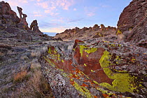 Colorful lichens adorn the bizzare rhyolite formations in southern  Bennett Hills. Idaho. April 2013