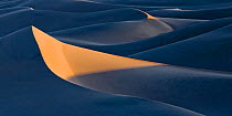 First light of sunrise on the Mesquite Sand Dunes seen from the peak of the dunes in Death Valley National Park. California. January 2007
