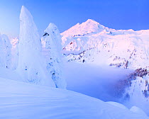 Snowy winter view of Mount Baker, seen from Artist point. Washington, USA