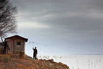 Fisherman standing outside typical fisherman shack with ropes  connected to poles in the lake with pieces of plastic and cloth. When there are too many pelicans and cormorants close to their nets, the...