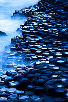 Giant's Causeway, UNESCO World Heritage Site, County Antrim, Northern Ireland, Europe, June 2011.