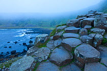 Giant's Causeway, UNESCO World Heritage Site in mist, County Antrim, Northern Ireland, Europe, June 2011.