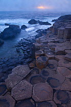 Giant's Causeway, UNESCO World Heritage Site at dawn, County Antrim, Northern Ireland, Europe, June 2011