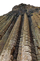 Organ Pipes Basalt Columns, Giant's Causeway, UNESCO World Heritage Site. Causeway Coastal Route, County Antrim, Northern Ireland, Europe, June 2011