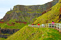 Tourists walking along the coastal route near The Amphitheatre, Giant's Causeway, UNESCO World Heritage Site, County Antrim, Northern Ireland, Europe, June 2011