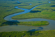Aerial view of the River Kinabatangan and riverine tropical rainforest, Sabah, Malaysia, Borneo, Asia.