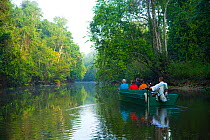 Toursists in a boat moving up the River Kinabatangan through lowland rainforest, Sabah, Malaysia, Borneo.