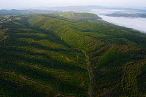 Aerial view over the Arda river canyon, Madzharovo, Eastern Rhodope Mountains, Bulgaria, May 2013.