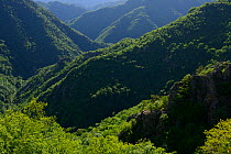 Deven area landscape, Western Rhodope Mountains, Bulgaria, May 2013.