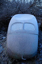 Rear view of old abandoned car covered in snow, in 'car graveyard', Bastnas, Sweden. December