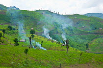 Deforested hillside, cleared for agricultural use, Arunachal Pradesh, India, 2008.