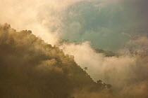 Clouds moving behind a tree covered hillside, Eastern Himalayas, Arunachal Pradesh, India, 2008.