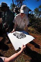 Taking footprint of wild elephant, (Loxodonta africana), after a vasectomy operation using keyhole surgery in the bush.  Private game reserve in Limpopo, South Africa. Christine Hardy of the Elephant...