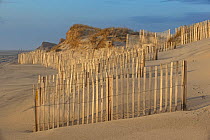 Sand fences along the beach to help against erosion of the dunes. Outer banks, North Carolina, April