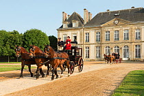 The drivingr (in black) and grooms (in red) from the Haras Du Pin, France's oldest national stud, driving three Norman Cobs, harnessed to an omnibus, in the Cour D'Honneur, at Le Pin-au-Haras, Orne, L...