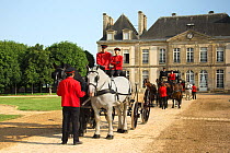 The drivingr (in black) and grooms (in red) from the Haras Du Pin, France's oldest national stud, harness two Percheron horses. Followed by three Norman Cob and two Percheron horses, in the Courd D'Ho...