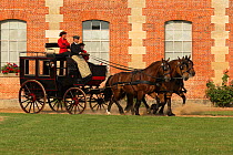 The drivingr (in black) and grooms (in red) from the Haras Du Pin, France's oldest national stud, driving three Norman Cob, harnessed to an omnibus, in the Cour D'Honneur, at Le Pin-au-Haras, Orne, Lo...