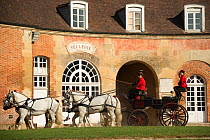 The drivingr (in black) and grooms (in red) from the Haras Du Pin, France's oldest national stud, driving four Percheron horses, harnessed to a break, in the Cour D'Honneur, at Le Pin-au-Haras, Orne,...