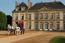 The drivingr (in black) and grooms (in red) from the Haras Du Pin, France's oldest national stud, driving two Percheron horses, harnessed to a break, in the Cour D'Honneur, at Le Pin-au-Haras, Orne, L...