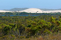 Two People's Bay Nature Reserve landscape with coast and sand dunes in the distance, Albany, South West Land Division, Western Australia. January 2012