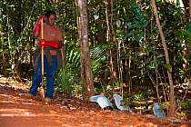 Kagus (Rhynochetos jubatus) with ranger repairing track,  Parc Provincial de la Riviere Bleue / Blue River Provincial Park, Yate, South Province, New Caledonia, August 2012. Endangered species
