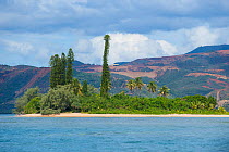 Islet off Houailou with Cook Pines (Araucaria columnaris) and Poro mines. North Province, New Caledonia, August 2012.