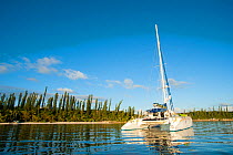 Tourist Catamaran near Oro Bay / Baie d'Oro, Ile des Pins / Isle of Pines. North Province. New Caledonia.