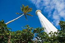 Lighthouse and palm tree, Amedee Islet / Ilot Amedee, Noumea, South Province, New Caledonia.