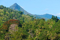Landscape of mountains and forests in Poindimie, North Province, New Caledonia, August 2012