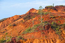 Eroded landscape around the Poro mines, Houailou, North Province, New Caledonia, August 2012.