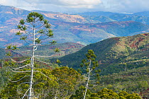 Landscape of Koua valley, Poro, Houailou, North Province, New Caledonia, August 2012.