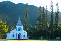 Church in Touaourou mission with Cook pines (Araucaria columnaris) Yate, South Province, New Caledonia.