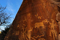 Newspaper Rock, petroglyph panel etched in sandstone, Indian Creek, Utah, USA, December 2012.