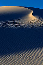 Irregular ripples on gypsum sand dunes created by high winds, White Sands National Park, Chihuahuan Desert, New Mexico, USA, December 2012.