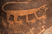 Cougar petroglyph, Petrified Forest National Park, Arizona, USA