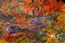 Close up of textured petrified wood, Painted Desert, Petrified Forest National Park, Arizona, USA, December 2012.