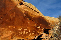 Rock with Ute petroglyphs, Arches National Park, Utah, USA, December 2012.