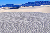 Gypsum sand dunes and San Andres mountain range, White Sands National Park, Chihuahuan Desert, New Mexico, USA, December 2012.