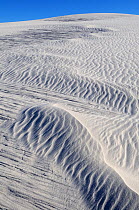 Irregular ripples on gypsum sand dunes created by high winds, White Sands National Park, Chihuahuan Desert, New Mexico, USA, December 2012.