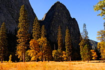 Yosemite valley and Cathedral rock, Yosemite National Park, California, USA, November 2012.
