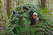 Wildlife Photographer Ingo Arndt taking pictures of Bowerbirds from hide, Arfak Mountains, West Papua, Indonesia, October 2011.
