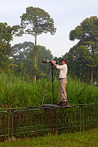 Wildlife Photographer Ingo Arndt on location, taking pictures of Baya weavers (Ploceus philippinus), Singapore, April 2012.