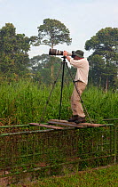 Wildlife Photographer Ingo Arndt on location, taking pictures of Baya weavers (Ploceus philippinus), Singapore, April 2012.