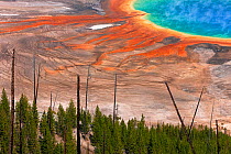 Grand Prismatic Spring, Midway Geyser Basin, Yellowstone National Park, Wyoming, USA, September 2011.