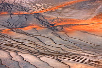 Bacterial mats in Grand Prismatic Spring, Midway Geyser Basin, Yellowstone National Park, Wyoming, USA, September 2011.